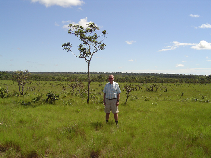 El Carmen - Savannas